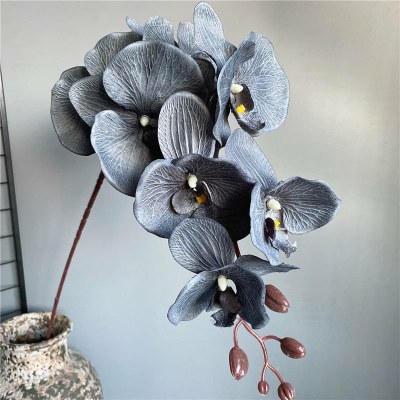 Голяма черна пеперуда